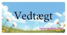 Vedtægt
