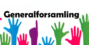 generalforsamling